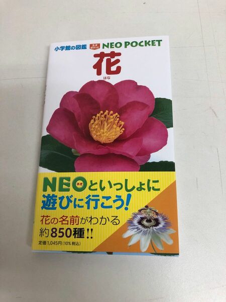 小学館の図鑑　NEO POCKET 花