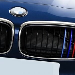 BMW フロント グリル トリム カバー F45 F46 2シリーズ 12本フィン用 グリル ストライプ Mカラー M Sport Sports Mスポーツ キドニーグリルの画像2