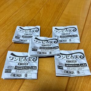 ワンピの実 ミニブック 5っ