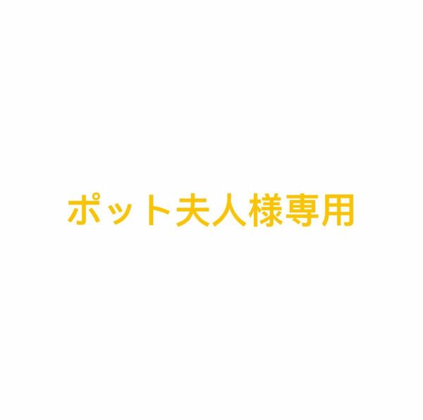 5点セット　新品　一本差しペンケース　ペンシース　未使用