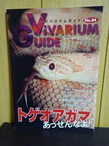 ビバリウムガイド　No.84　爬虫類　トゲオアガマ　イロメガエル