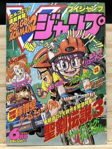 ◆(31016)V(ブイ)ジャンプ　1995年6月号　聖剣伝説3/タクティカルオウガ/シャイニングウィズダム/Dr.スランプ　鳥山明