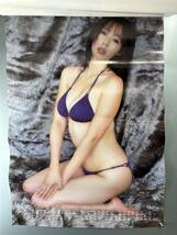 ◆(31014)井上和香　2006年カレンダー　水着ビキニ_画像4