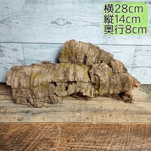 【送料無料】 現品　バージンコルク Mサイズ　樹皮　約400g　W28cm×D14cm×厚み8cm　着生ラン　エアープランツ_画像1