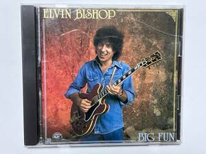 Elvin Bishop/Big Fun 国内盤 エルヴィン・ビショップ