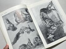 Animal studies : 550 illustrations of mammals, birds, fish, and insects 洋書 グラフィックデザイン 哺乳類、鳥類、魚類、昆虫 全550点_画像3