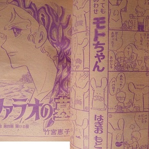 なつかしのまんが雑誌◇「週刊少女コミック」１９７５年1号／６号／１２号の3冊です 萩尾望都さん大島弓子さん竹宮恵子さん細川知栄子さんの画像8