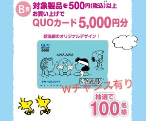 レシート 懸賞 応募 ★5000円分 QUOカードが当たる！ Wチャンスあり　ダヴ スヌーピー　クオカード　商品券　送料無料～　キャンペーン