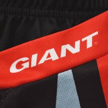 ★フルデコ 好配色 ジャイアント GIANT ストレッチ ドライ サイクル ジャージ 上下 セットアップ L 自転車 サイクリング ロードバイク★_画像7