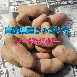 ノーザンルビー　80サイズいっぱい　約10㎏前後　青森県産じゃがいも　ジャガイモ