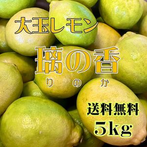 減農薬 熊本県産 璃の香（りのか） 5kg 送料無料