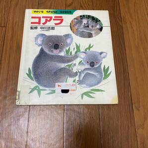 ゆかいなちきゅうのなかまたち9 コアラ 中川志郎　上野動物園園長　創育　ナメ川コーイチ　リサイクル資料　除籍本