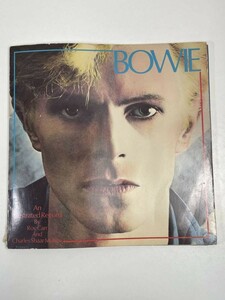 DAVID BOWIE　An Illustrated Record By Roy Carr And Charles Shaar Murray【z51440】