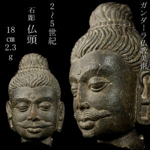 【LIG】ガンダーラ仏教美術 2～5世紀 石彫 仏頭 18㎝ 2315g 石仏 時代古玩 コレクター収蔵品 [.EE]23.8