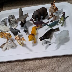 Miniatureplanet 動物 恐竜 まとめ売り