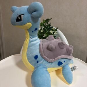 ポケモンセンター ラプラス ぬいぐるみ ポケモン ポケットモンスター ピカチュウ