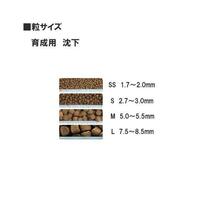 キョーリン 咲ひかり 育成用 M 沈下 5kg(1kg×5袋) 計売 (密封包装)　送料無料 但、一部地域除_画像2