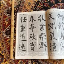 【７冊セット】中国書法技法基礎教程　H_画像10