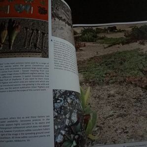 植物 洋書 オーストラリア 食用 多肉植物 Edible Australian Succulents/ グラウカ カランドリニア bulbine glauca,calandrinia balonensisの画像2