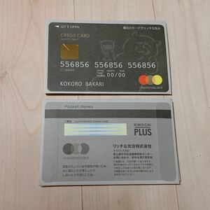 1275☆ クレジットカード風 お年玉袋 ポチ袋 ミニ封筒 3枚 リッチな気分株式会社