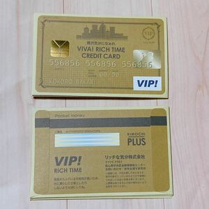 1316☆ VIP! クレジットカード風 お年玉袋 ぽち袋 ミニ封筒 3枚