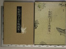 画集『牧野四子吉生物画集』牧野四子吉著 講談社 補足:植物哺乳類鯨の胎児両棲類爬虫類クモ類昆虫類無脊椎動物海産魚類淡水魚類鳥類図鑑_画像1