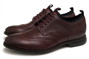 COLE HAAN コールハーン ビジネスシューズ C31356 Holland Grand Long Wing ホーランド グランド ロング ウィング 牛革 ロングウイングチ