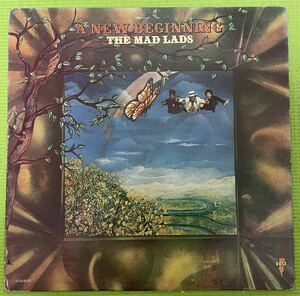 Soul sampling raregroove record ソウル　サンプリング　レアグルーブ　レコード　Mad Lads A New Beginning(LP) 1973