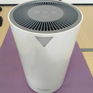 高機能空気清浄機 静音　花粉　PM2．5　マイナスイオン効果　タイマー付き