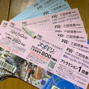 東京ドームシティアトラクション券　10枚セット