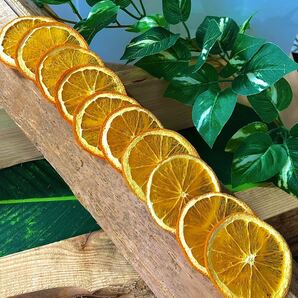 【最高級】ドライオレンジ １０枚 ドライフルーツ 花材 素材の画像3