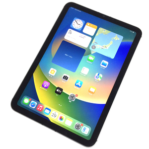 1円 Apple iPad mini 第6世代 Wi-Fi+Cellular 256GB タブレット 本体