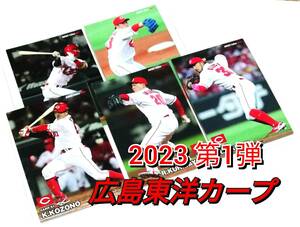 2023　第1弾　広島東洋カープ　レギュラーカード　全5種セット　★　カルビープロ野球チップス　西川　栗林　床田　菊池　小園