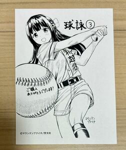 球詠 3巻 購入特典 イラストペーパー (漫画 a67 マウンテンプクイチ 芳文社 たまよみ)