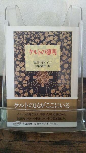 ケルトの薄明 (ちくま文庫)