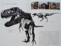 『ティラノサウルス展』図録 T.rex Tレッックス 肉食恐竜 化石 獣脚類 進化 荒木一成 復元模型 恐竜 検索）図鑑 _画像8