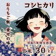 【 玄米 】令和5年 埼玉県産 コシヒカリ 30kg 美味しいお米 玄米食 ダイエット 健康 食物繊維/ビタミン豊富！_画像1