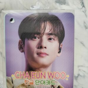 単語帳 CHA EUN WOO