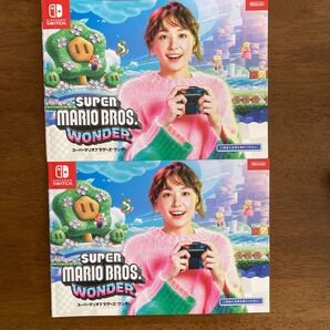 新垣結衣 NINTENDO SWITCH 広告冊子 2冊 未使用