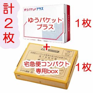 2枚セット ゆうパケットプラス専用箱 枚 宅急便コンパクト専用box 枚 