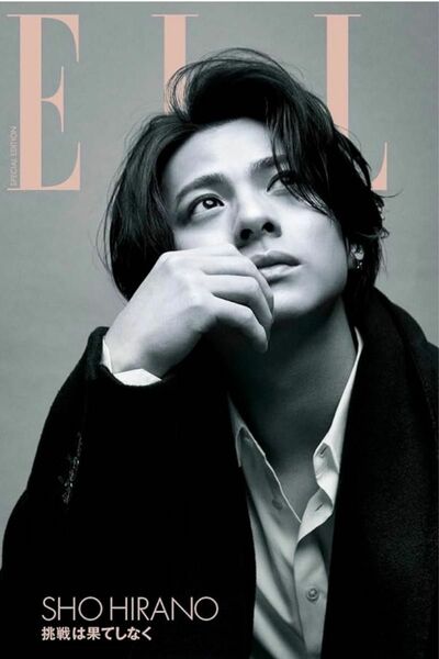 ELLE JAPON 特別版 2023年11月号 平野紫耀