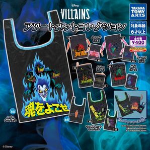 Disney Villainsアソートメントコレクション