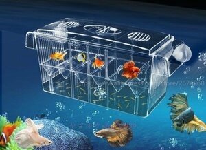 L619☆新品ワンサイズ魚飼育箱★飼育ボックス?インキュベーター★稚魚やベタなどのアクティブフィッシュの隔離用アクリル