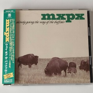 帯付 MXPX/SLOWLY GOING THE WAY OF THE BUFFALO(POCM-1268)ウェイ・オブ・ザ・バッファロー/1998年4thアルバム/ポップ・パンク