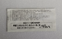 10.8 巨人 中日 ナゴヤ球場 プロ野球 半券 1994.10.8_画像6