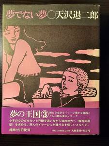 夢でない夢 夢の王国シリーズ 3 / 著者 天沢退二郎 / 大和書房