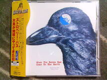 STRAWBERRY PATH[大鳥が地球にやってきた日]CD _画像1