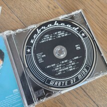 ★ZEBRAHEAD「WASTE OF MIND」国内盤帯付きアルバム　ゼブラヘッド　CD_画像5