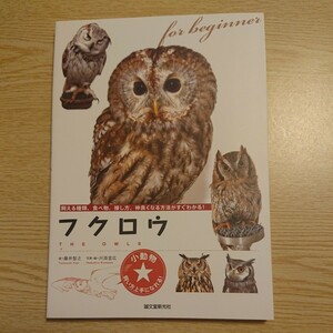 フクロウ　飼える種類、食べ物、接し方、仲良くなる方法がすぐわかる！（小動物★飼い方上手になれる！） 藤井智之／著 川添宣広／写真・編