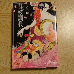 舞妓調教 （幻冬舎アウトロー文庫　Ｏ－８７－１） 若月凛／〔著〕